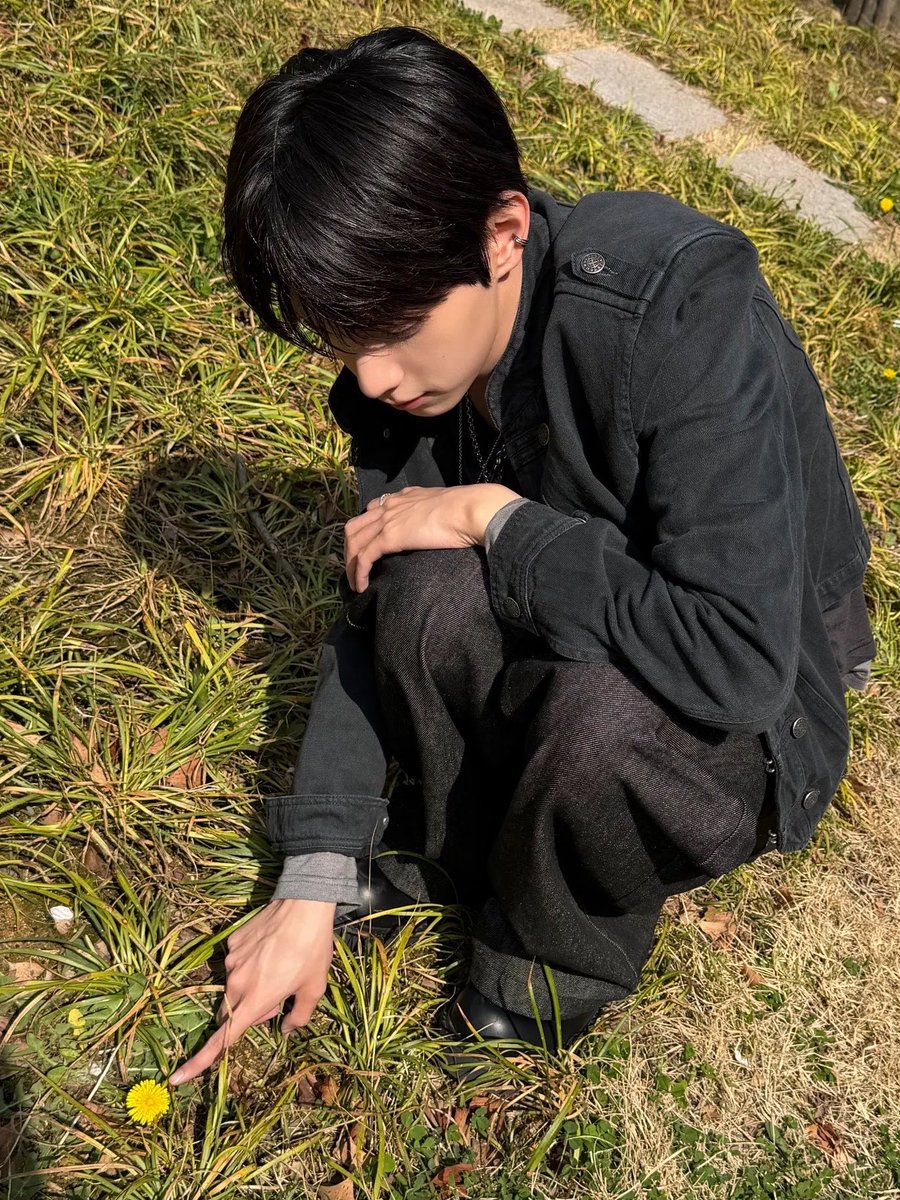 민들레 tweet media