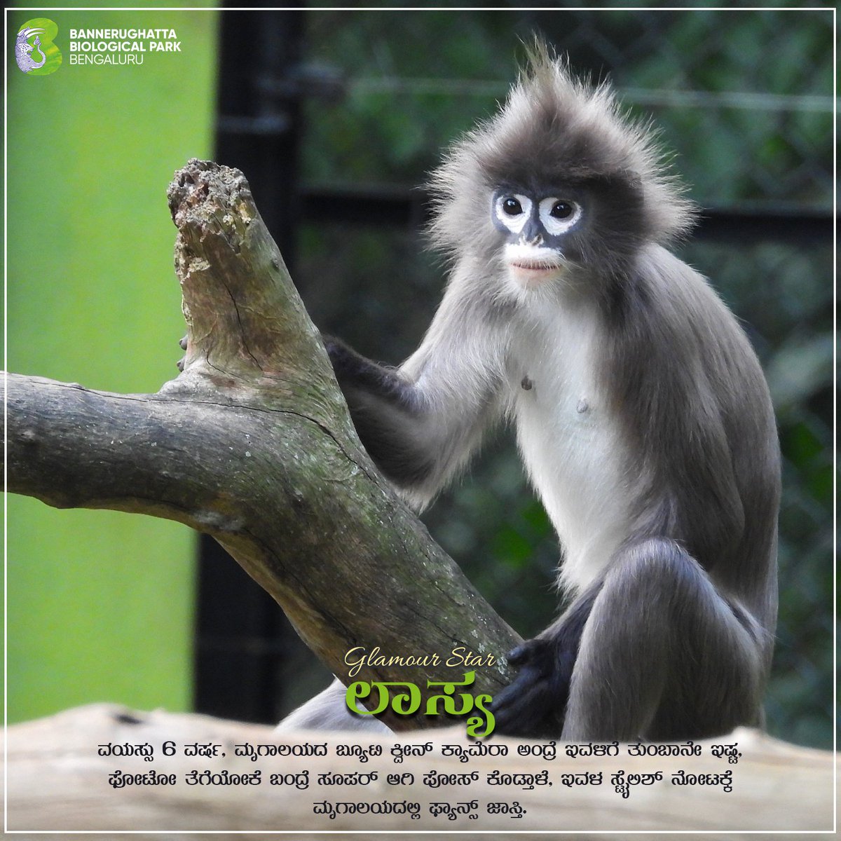 Bannerughatta Biological Park tweet media