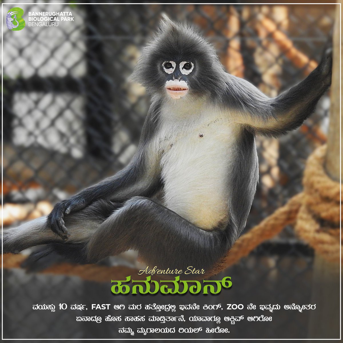 Bannerughatta Biological Park tweet media