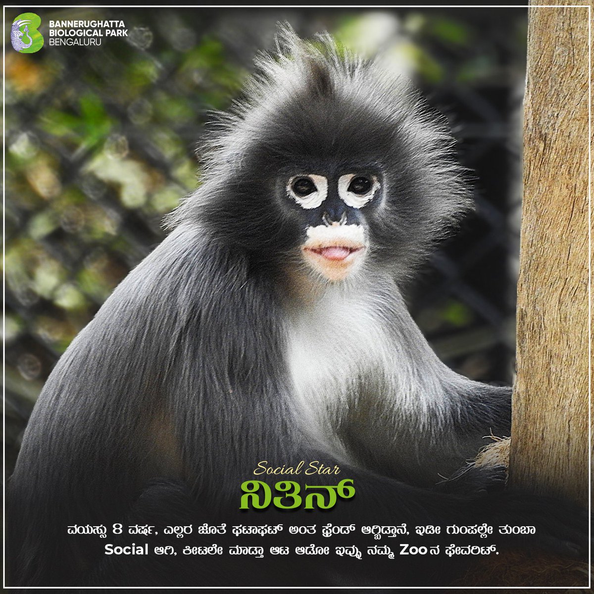 Bannerughatta Biological Park tweet media