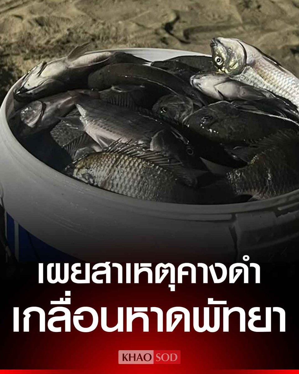 Khaosodonline tweet media