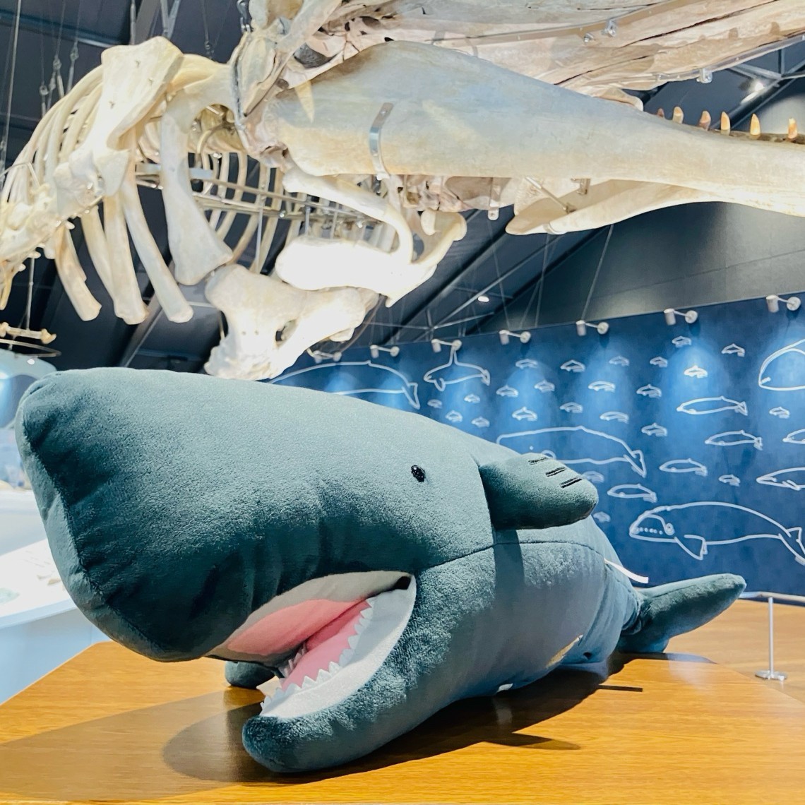 おしかホエールランド tweet media