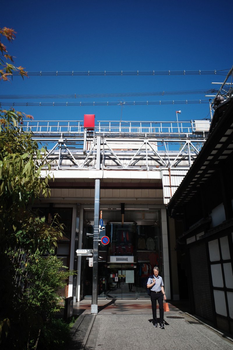 よだか tweet media