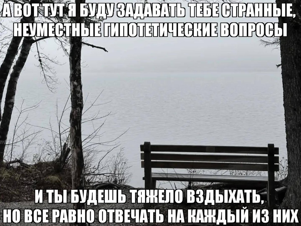 Шиза&База tweet media