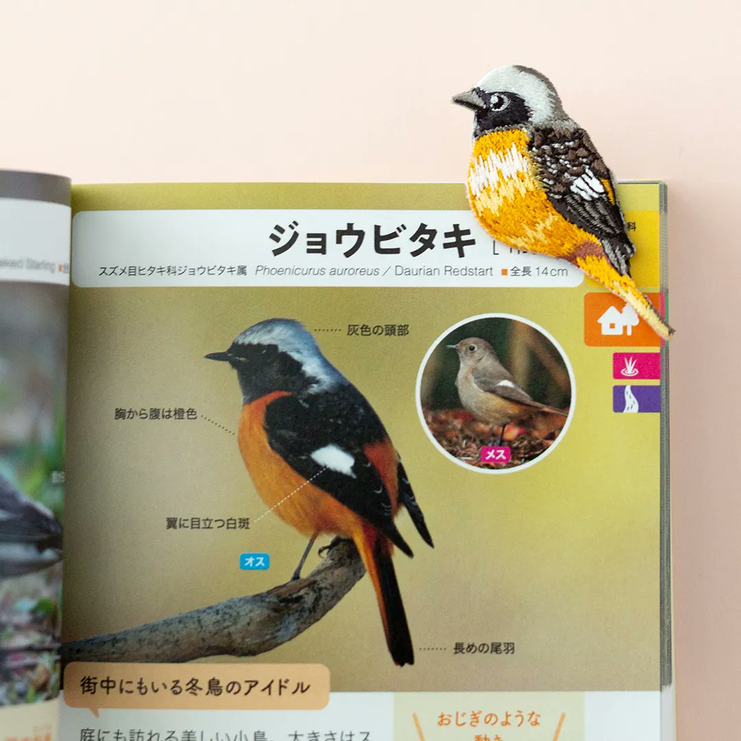 暦生活 tweet media
