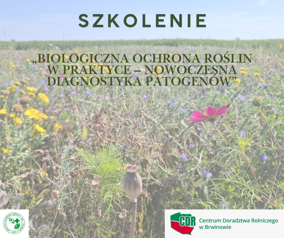 IOR_PIB's tweet photo. CDR w Brwinowie organizuje szkolenie pn. „Biologiczna ochrona roślin w praktyce – nowoczesna diagnostyka patogenów”, które odbędzie się w dniach 27–28 maja 2026 r.  Poprowadzą je eksperci @IOR_PIB 

➡️ Szczegóły: https://t.co/n7ozjmm1g2 https://t.co/rWaoGv4ekj