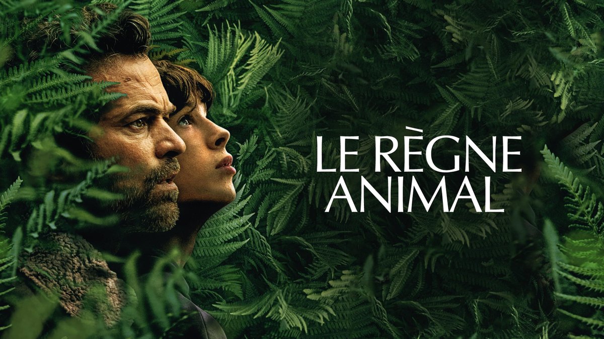Novedades AmazonVideo 🇪🇸 tweet media