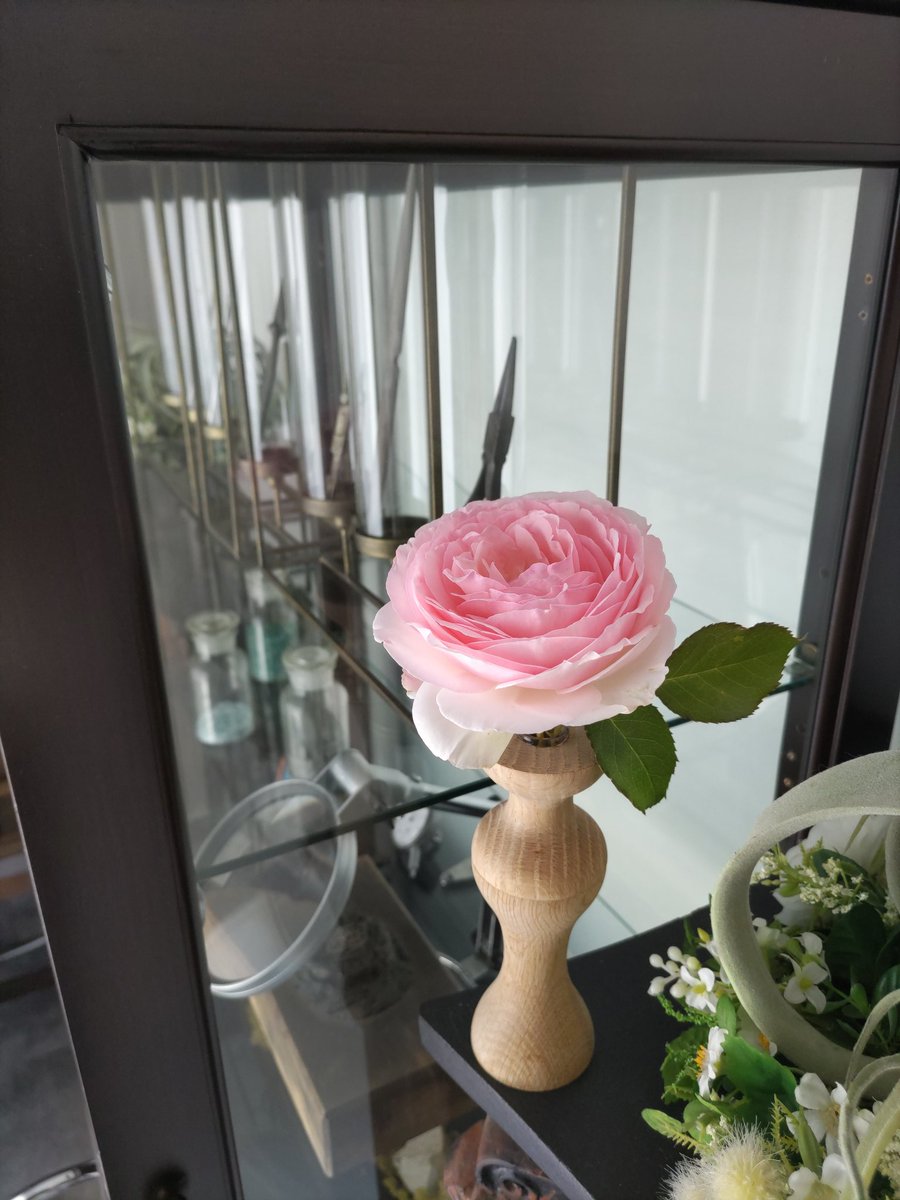 masakiamsei's tweet photo. 庭で育てているバラ、今年初めての開花。さっそく一輪挿しへ🌹 https://t.co/14YmIgCUfL