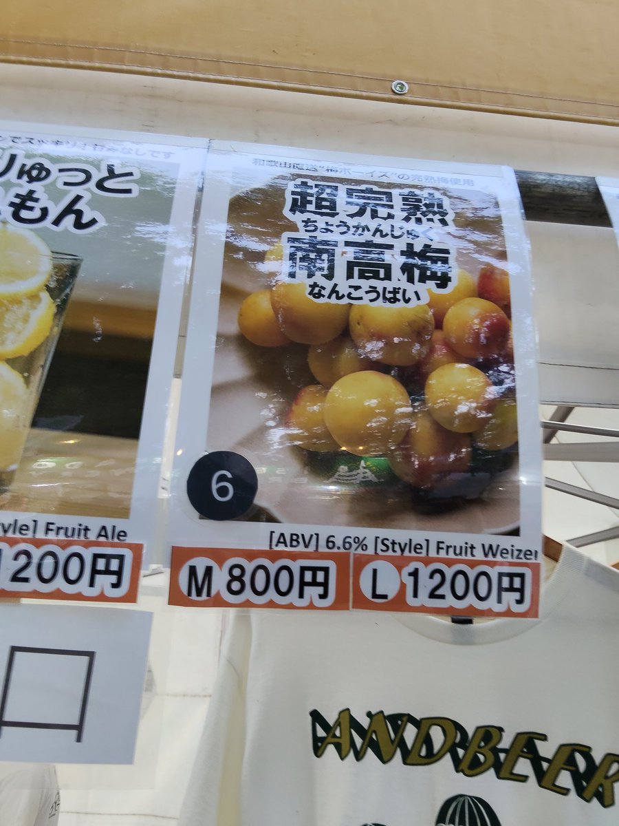 bigamoo's tweet photo. 2日目参戦♪けやきはこれを食べないと始まらない田沢湖ビールのきりたんぽ鍋。お供はアンドビールの完熟南高梅です。昨日は初日ではしゃぎ前後不覚まで飲みすぎたので今日はホドホドにします。(-_-;)
#beerkeyaki
#アンドビール
#田沢湖ビール #きりたんぽ鍋 https://t.co/34HoyzGKup