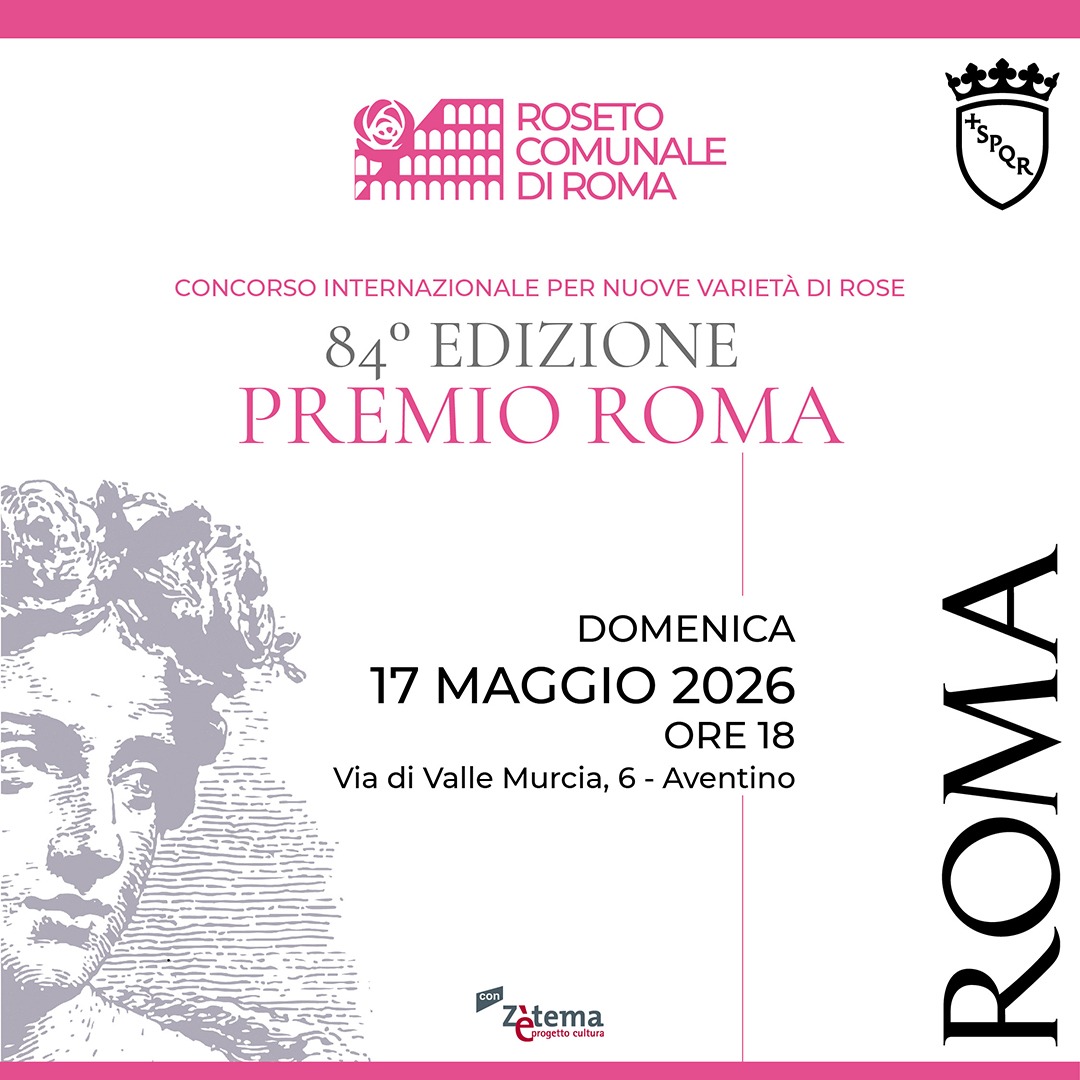 Roma tweet media
