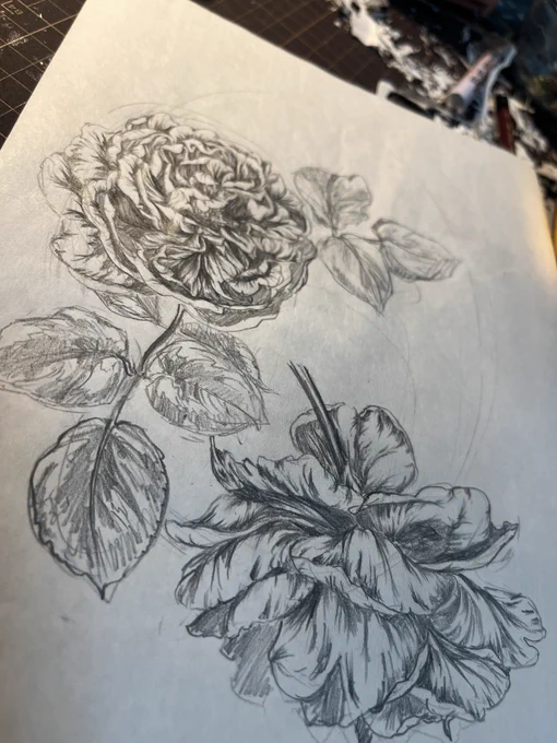 🌹 