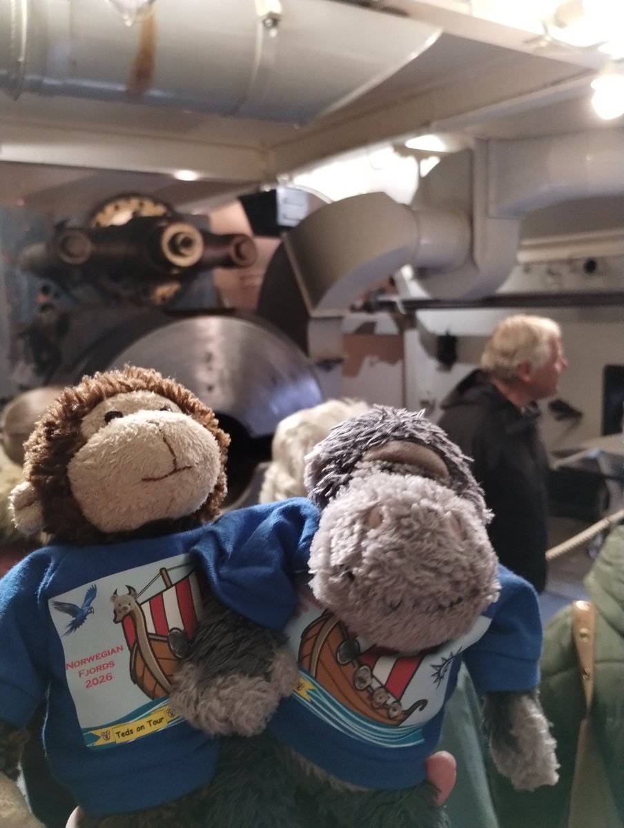 🇺🇦TourGuideTed©🧸🏳️‍🌈🐦🇪🇺 tweet media