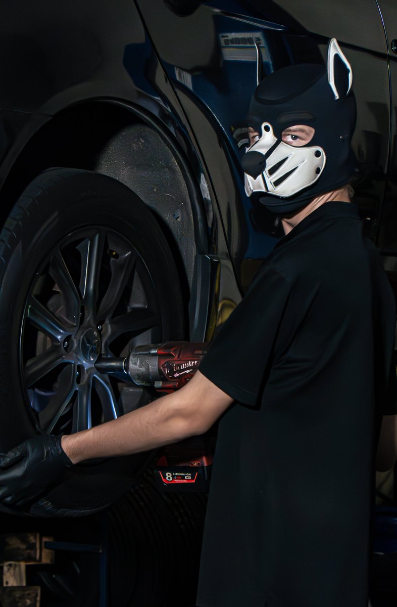 Boost (@Boost_Pup) / Posts / X
