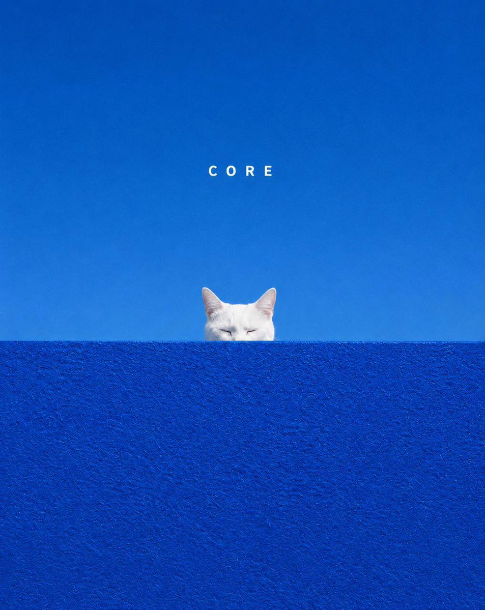 Core tweet media