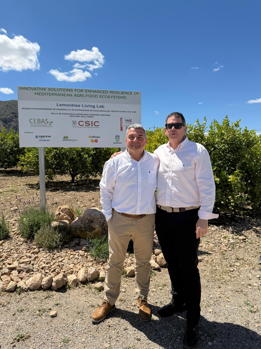 ailimpo's tweet photo. AILIMPO visita el proyecto Living Labs en Limonero que se desarrolla en la Finca Experimental del CEBAS-CSIC en Santomera, junto al Consejero de Medio Ambiente, Universidades, Investigación y Mar Menor, Juan María Vázquez, y el Director del CEBAS, Pedro Martínez. https://t.co/S3OLwzbOX4