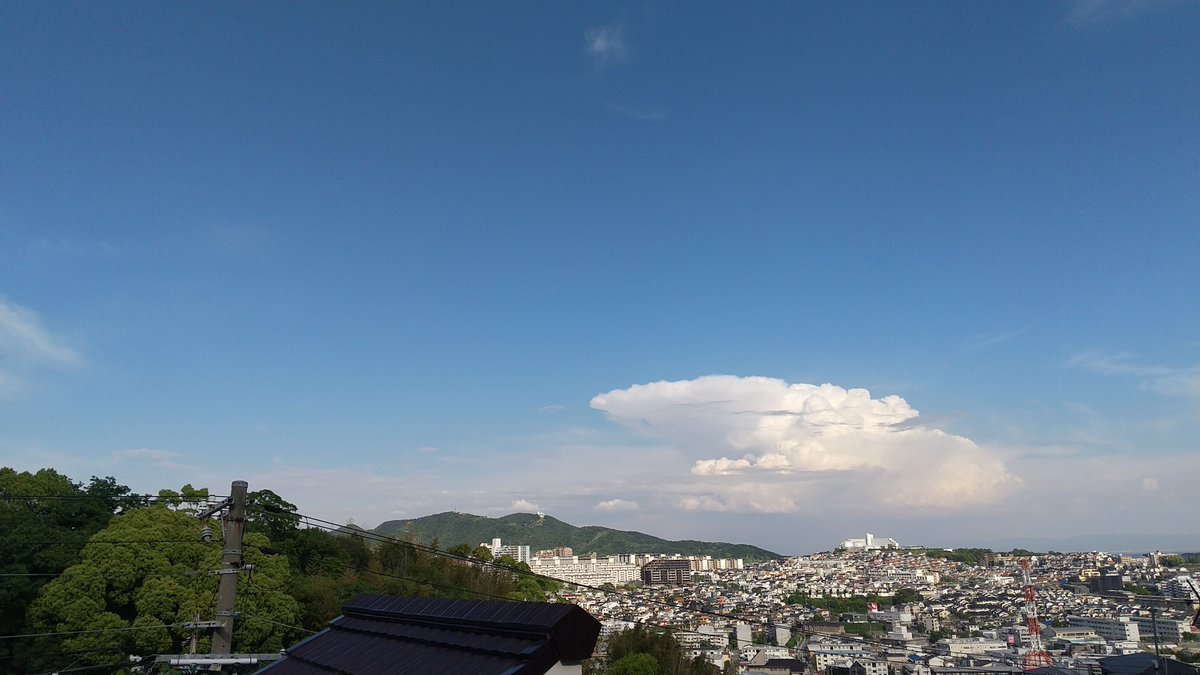 赤坂　嘉紀 tweet media