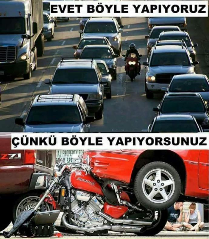 Prof. Dr. Yavuz Cevger tweet media