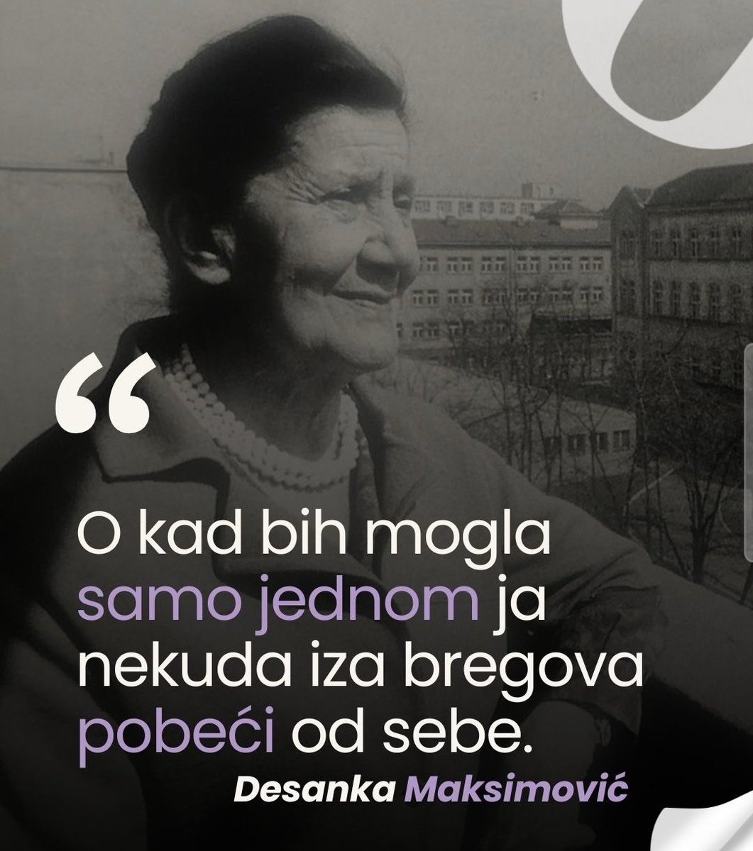Violetª tweet media
