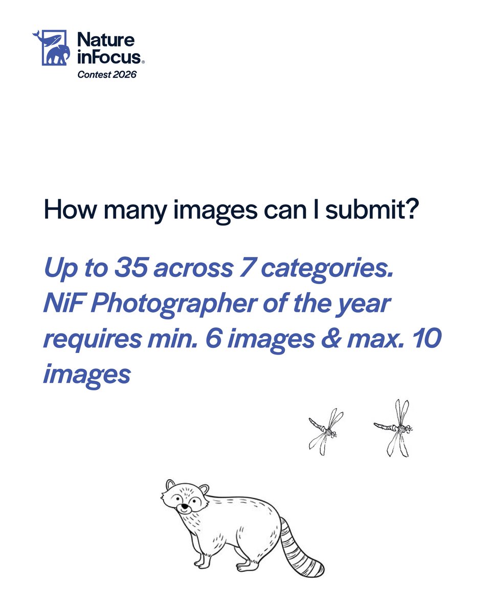 Nature inFocus tweet media