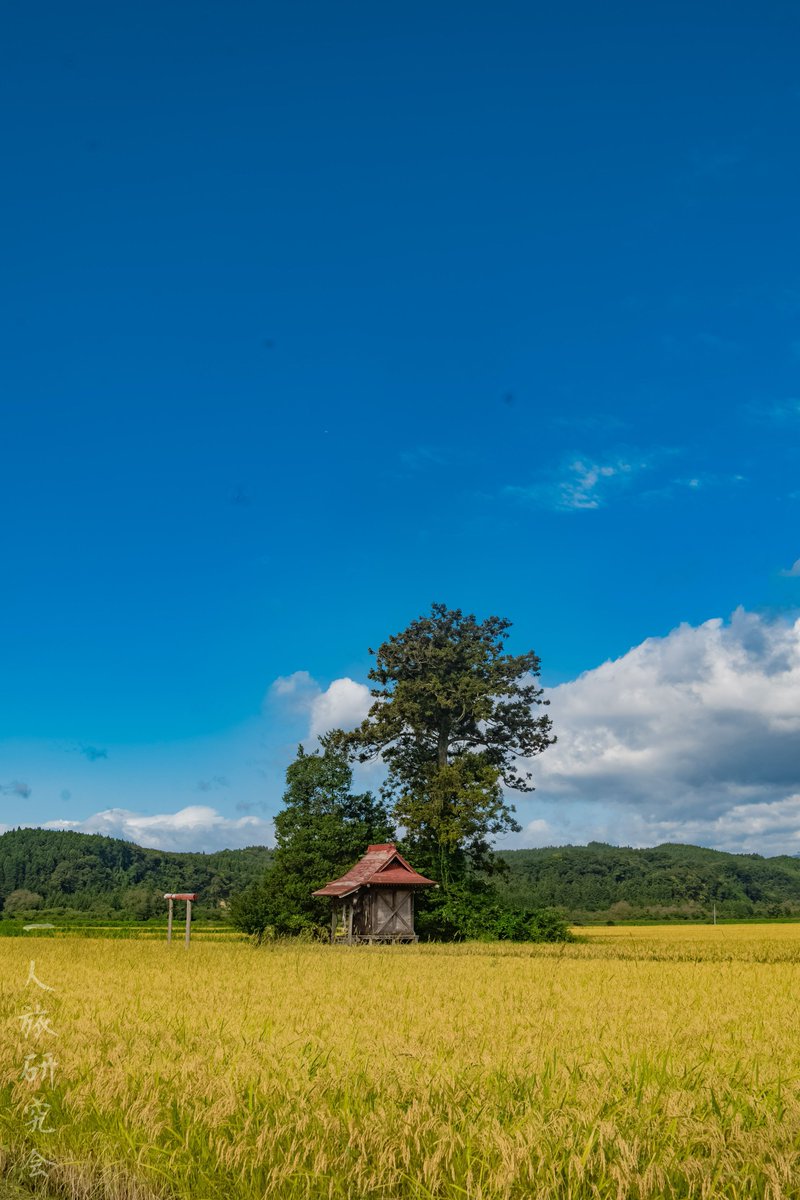 一人旅研究会 tweet media