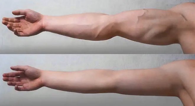 PeakFitnessHQ's tweet photo. 5 Training For Bigger Biceps 💪 https://t.co/lBDvc4Cl18
