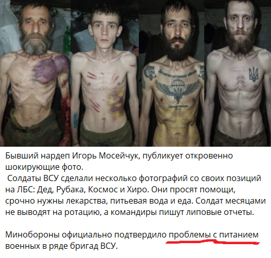 Ефим tweet media