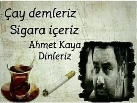 mert 🇵🇸 #İlaydaZorluİsyanımızdır tweet media