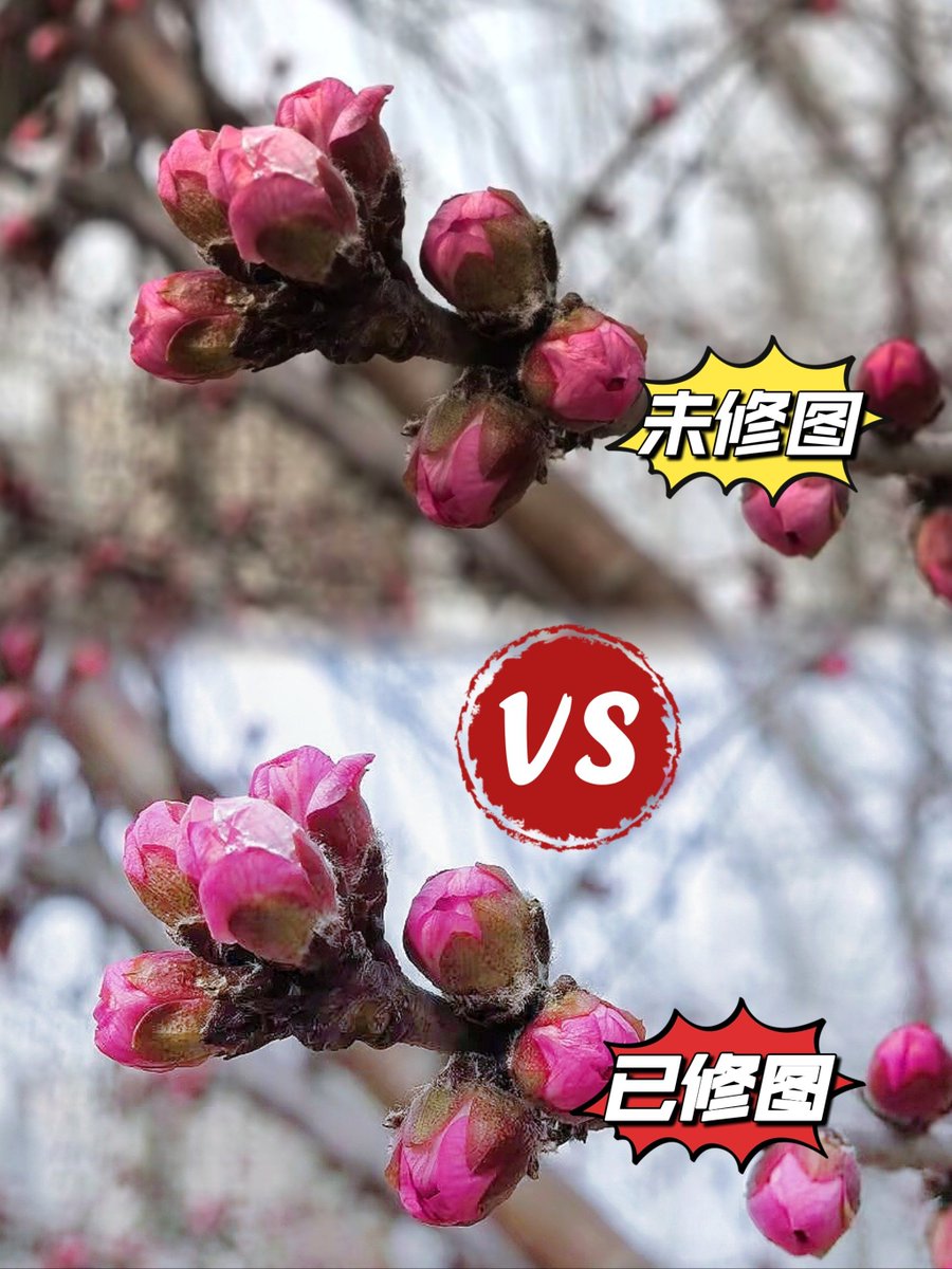 Khloe-月圆允在 tweet media