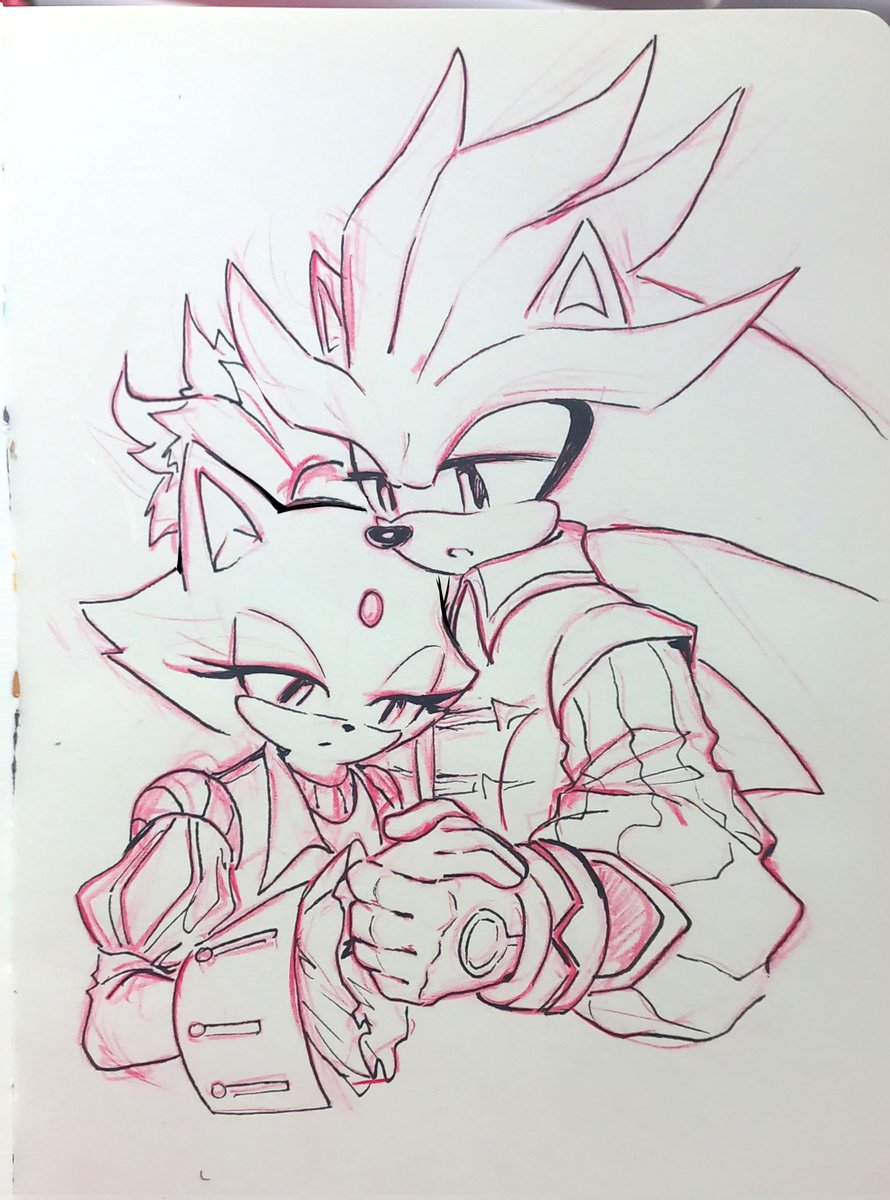 Staisy_0's tweet photo. Sketch
#Silvaze #Silverthehedgehog #Blazethecat https://t.co/cKW0rZHenb
