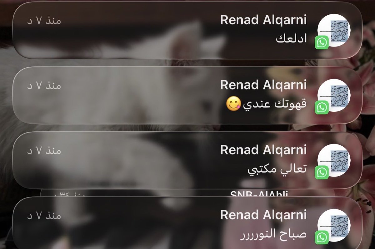 Afrah ⌬🧪 tweet media