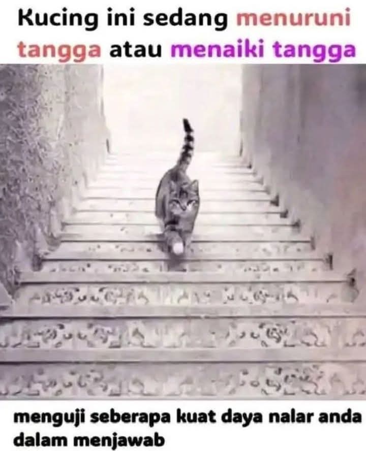 Ketawa itu GRATIS 🛩 tweet media