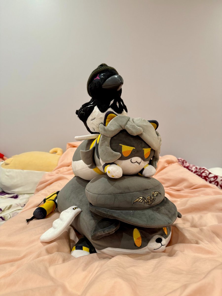 nkong775's tweet photo. Look what I got from Glitch Production’s merch shop!

I ordered three Murder Drones plushies myself on April 30: the Uzi Crow Plush, the N Dog Plush, and the V Cat Plush. 

#murderdrones, #UziDoorman, #SerialDesignationN, #SerialDesignationV, #UziCrow, #NDog, #VCat https://t.co/dt5ECyPoag