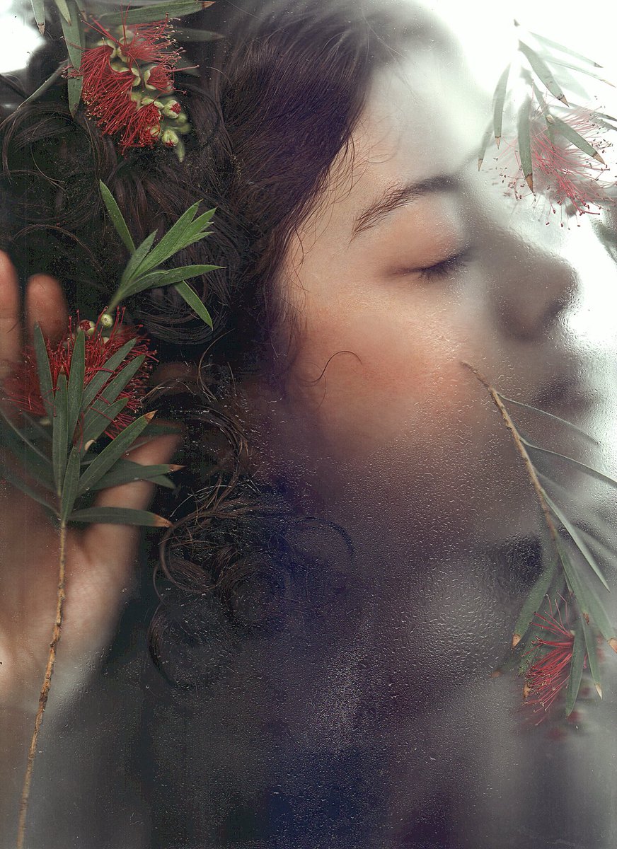 zahranikazar's tweet photo. Good morning 🫶🏻

Huge thanks to @Sx_Zr04 for collecting an edition of “Soft Obscura”
I’m so happy it resonated with you, my dear friend 💚💚💚

4/5 ed
20 xtz https://t.co/XPGhfUtN0Z