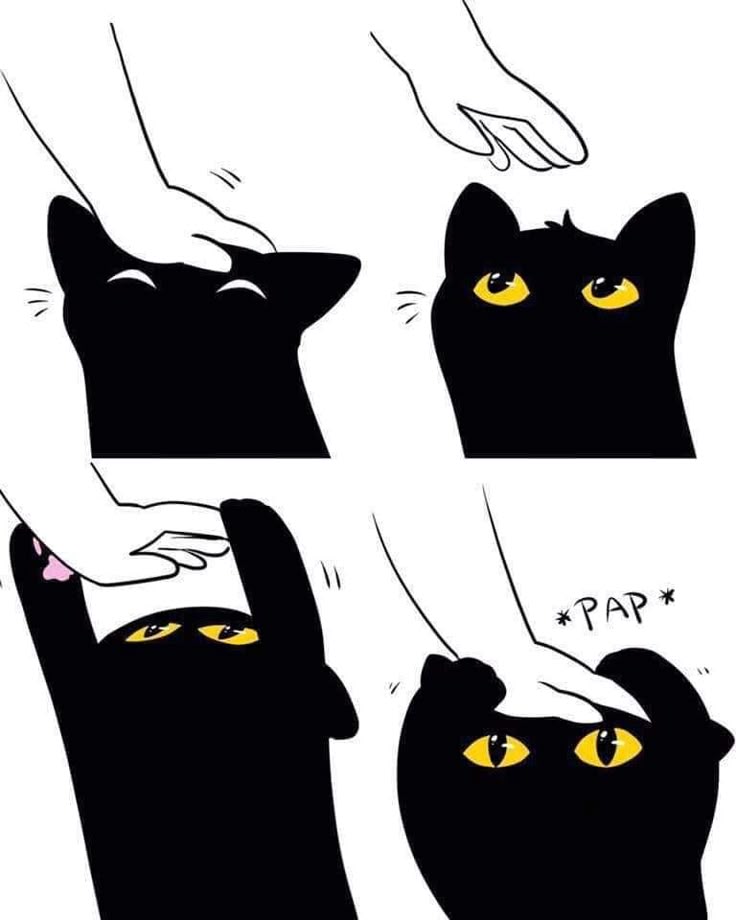 Miaw tweet media