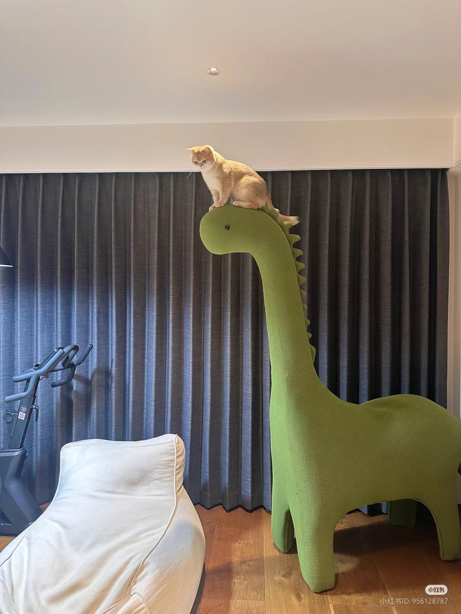 The Cats 𝕏 tweet media