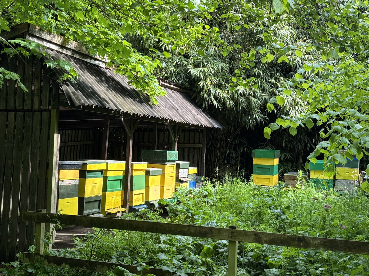KarinAlphen's tweet photo. Even op visite geweest bij de tuinkabouters van Kasteel Keukenhof. Fluitende vogels en zoemende bijen. Ben weer helemaal zen๐
#slenteren #kabouterpad #Lisse https://t.co/4kqAFgF4xO