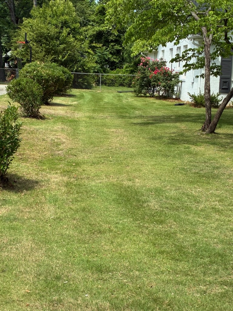 palmettolawn's tweet photo. Nothing beats that fresh-cut look on a sunny Carolina day. If your lawn is looking a little rough after winter, give us a call – we can help get it back in shape before summer hits.

#GreenvilleSCLawn #PalmettoPest #UpstateSouthCarolina #WeedControl #BackyardSpring #CurbAppeal... https://t.co/92sgUP2MOp