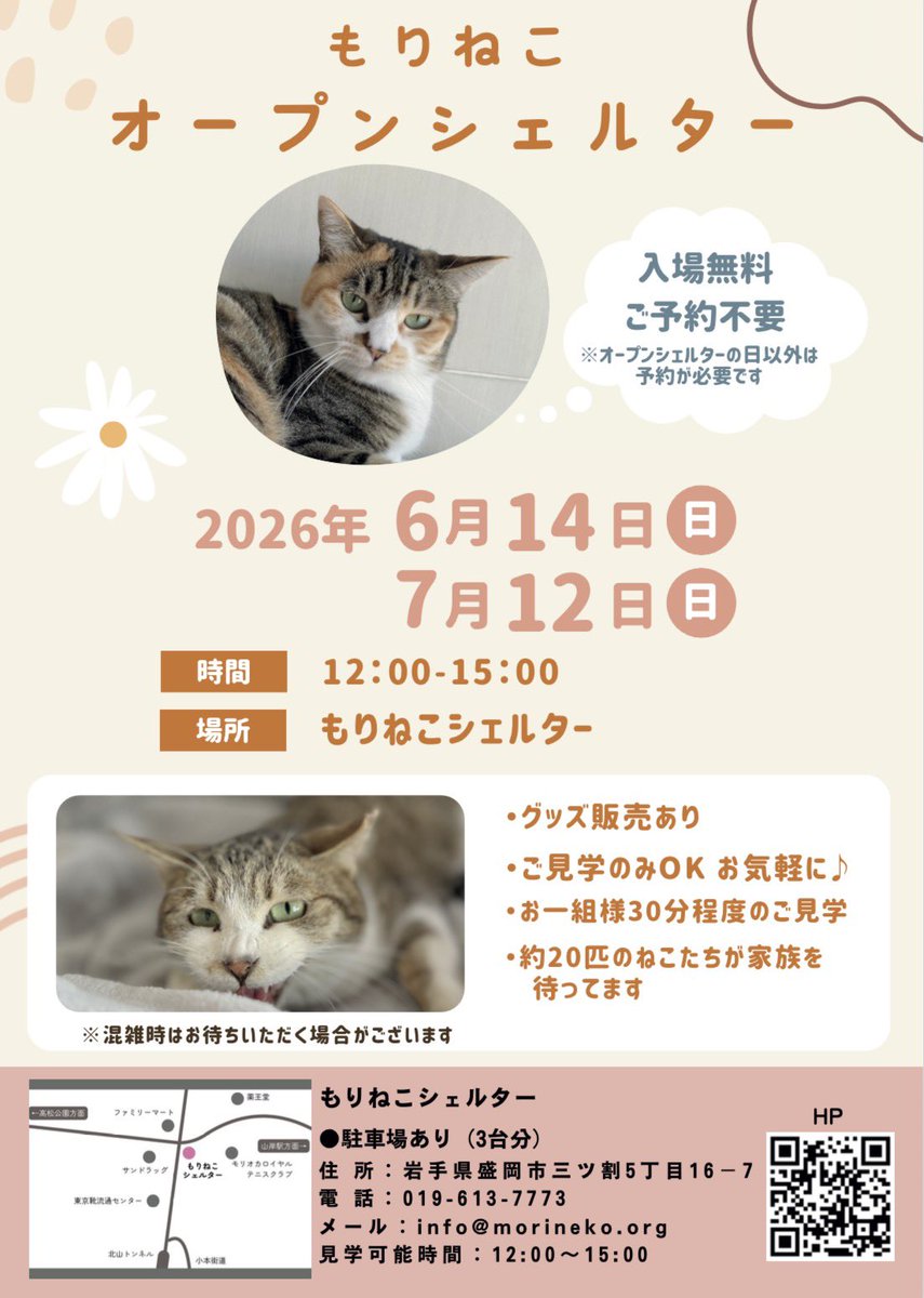 morineko_cafe's tweet photo. 閉店後ももりねこは続くよ！
譲渡会もイベントもばんばんやっちゃうよ！

5/31  もりおか歴史文化館前広場　楽縁祭
6/14、7/12 もりねこオープンシェルター

ご来場お待ちしております✨✨ https://t.co/z84U8noSGh