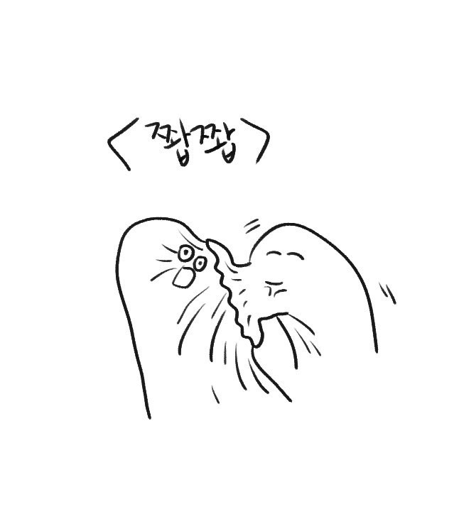🍊밥스🍊 tweet media