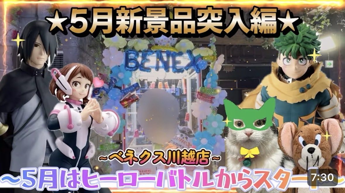 たぬ先生 tweet media