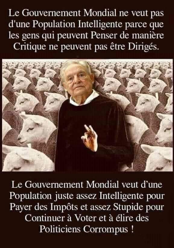 Perle tweet media