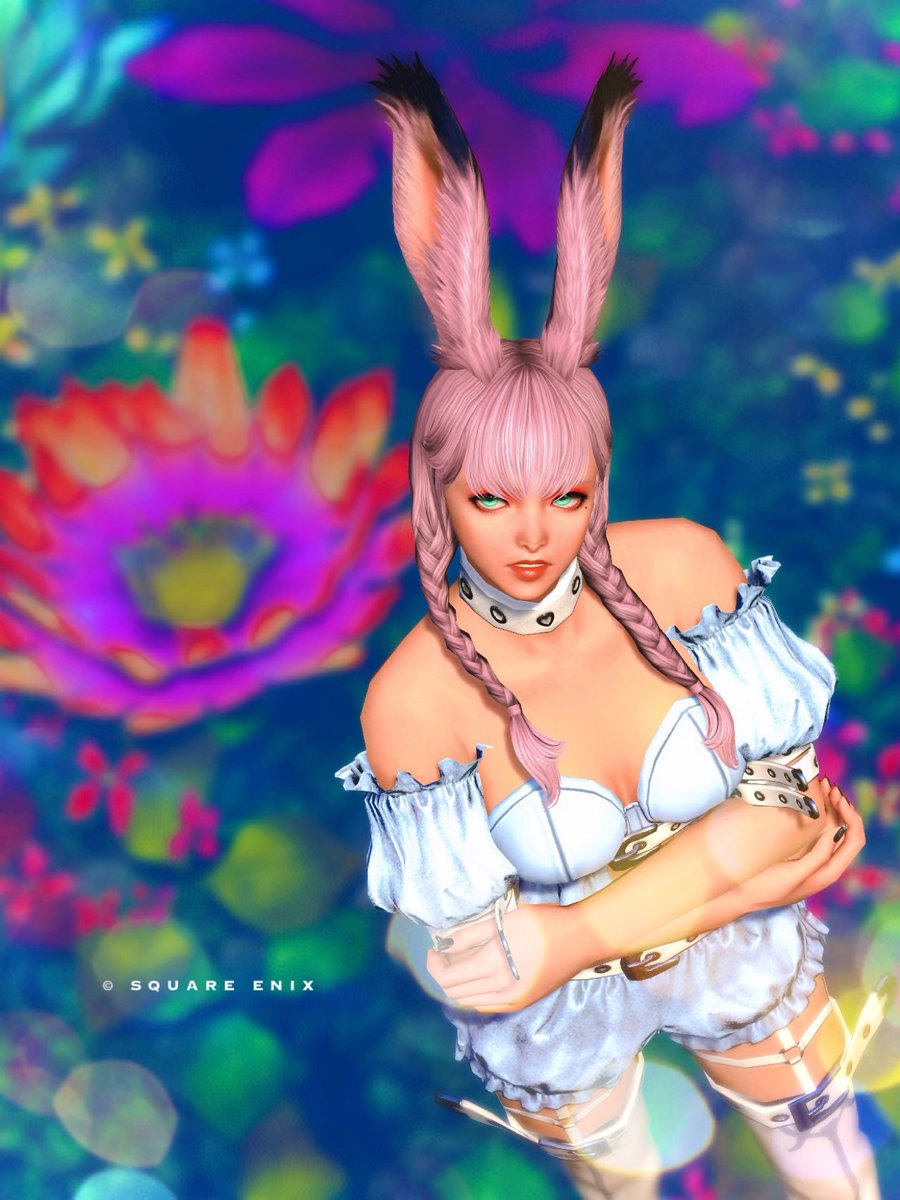 SilvaDk_FF14's tweet photo. ほんと今日は疲れちゃった
癒されたい
#FF14 #ヴィエラ https://t.co/Eff3KqbPnT