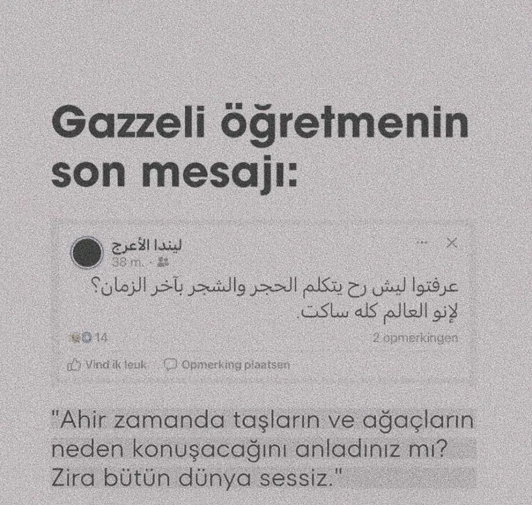 Monna Rosa tweet media