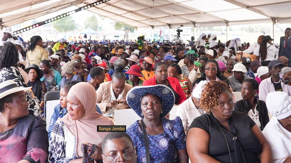 Chipo Musarurwa Siziba tweet media