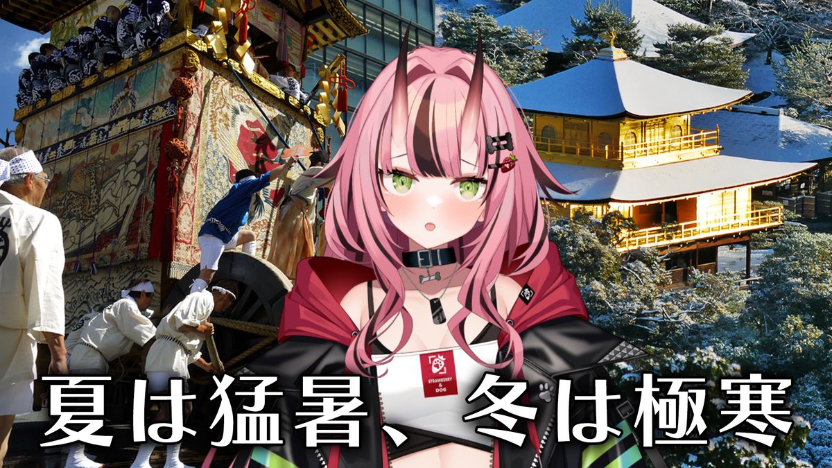 shiba_15_'s tweet photo. 京都に来なさい https://t.co/JFUrSklueC