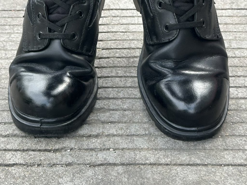 东山霸王 tweet media