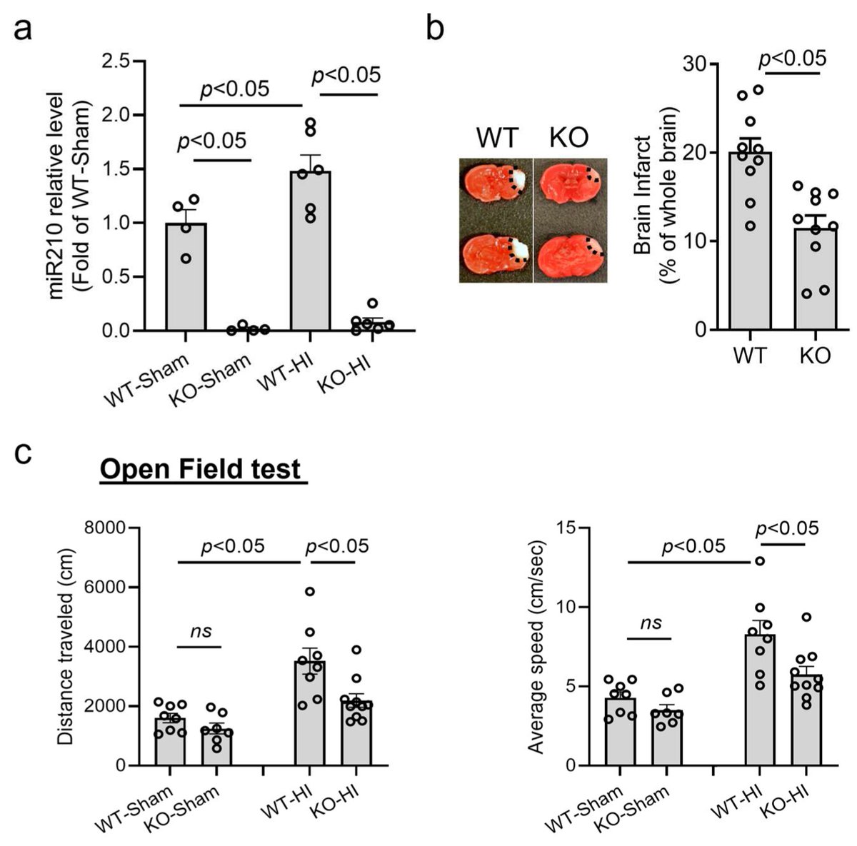 Cells MDPI tweet media