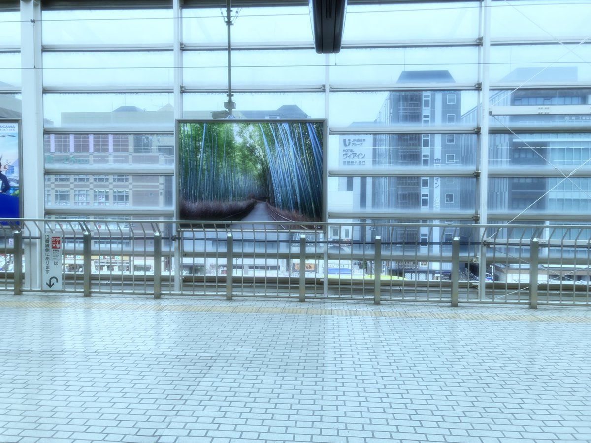 ｳｨﾌｨ🛜 tweet media