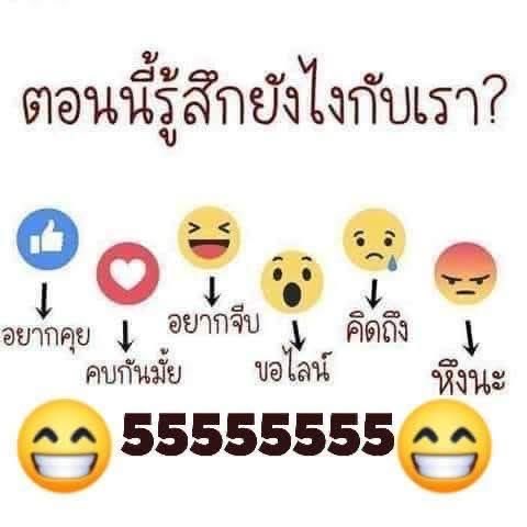 toonee😇 tweet media