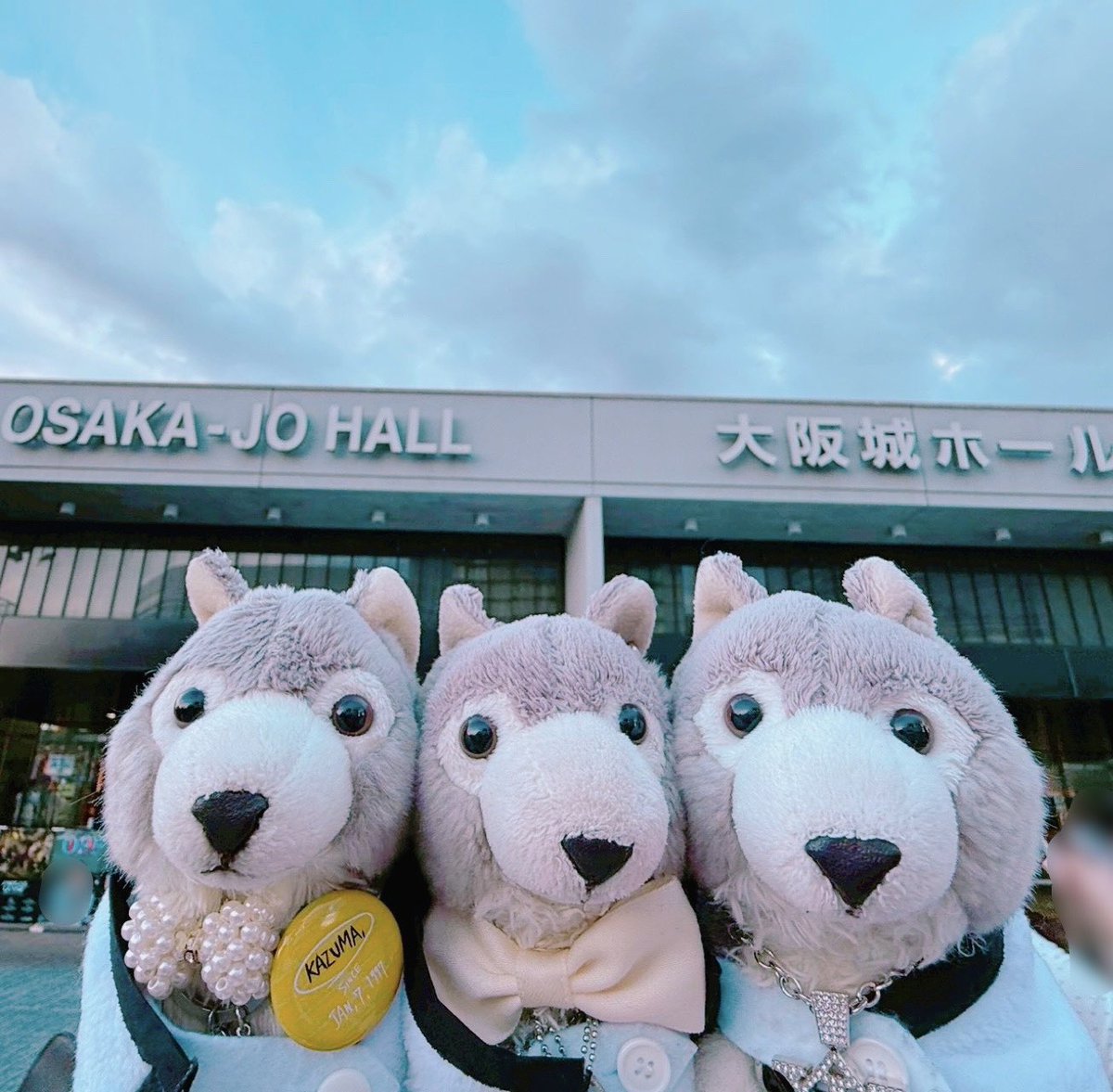 サリー®🐺 (@Sally_SncrRvsKK) / Posts / X
